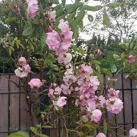 Tatil Evi Maison De Charme *