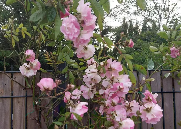 بيت للعطل Maison De Charme *