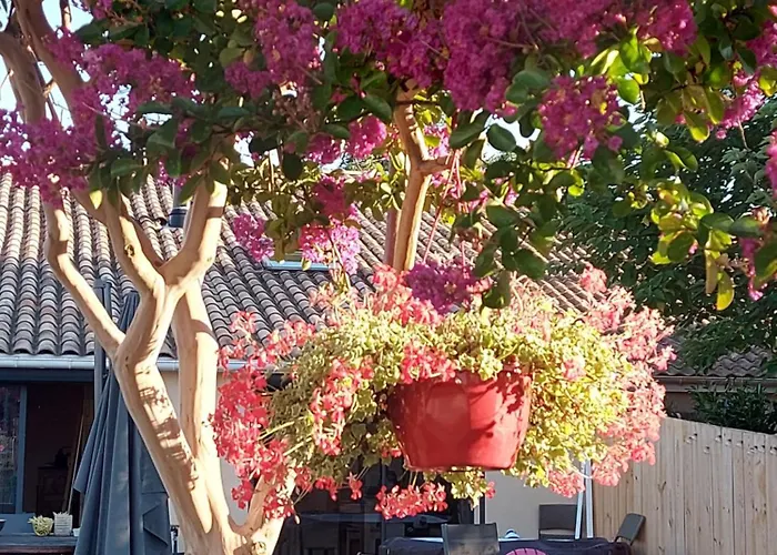 Maison De Charme بيت للعطل